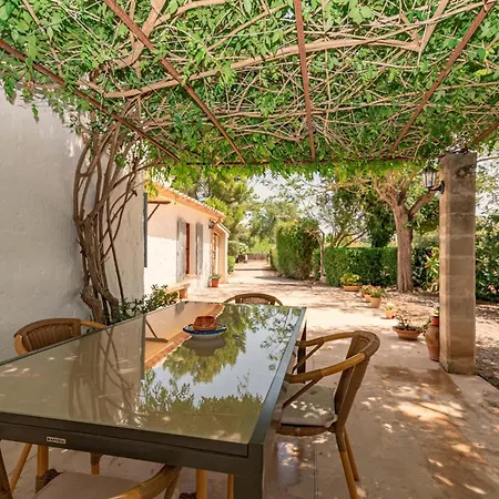 Venzala Petit By Sealand * ポレンサ