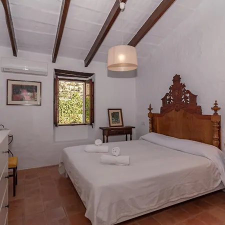 Venzala Petit By Sealand *