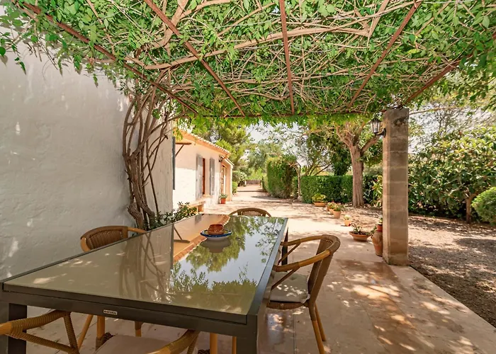 Venzala Petit By Sealand * Pollenca