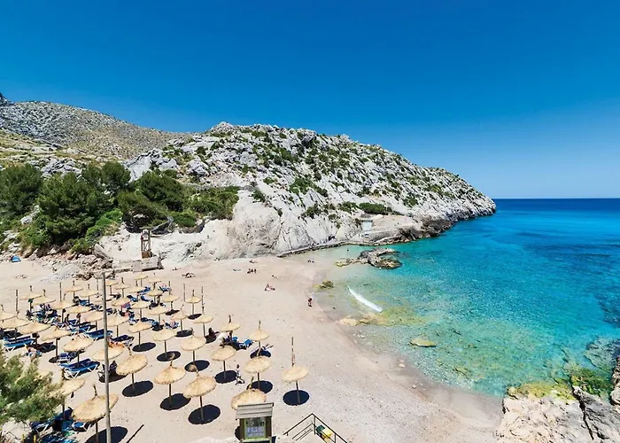 Venzala Petit By Sealand *